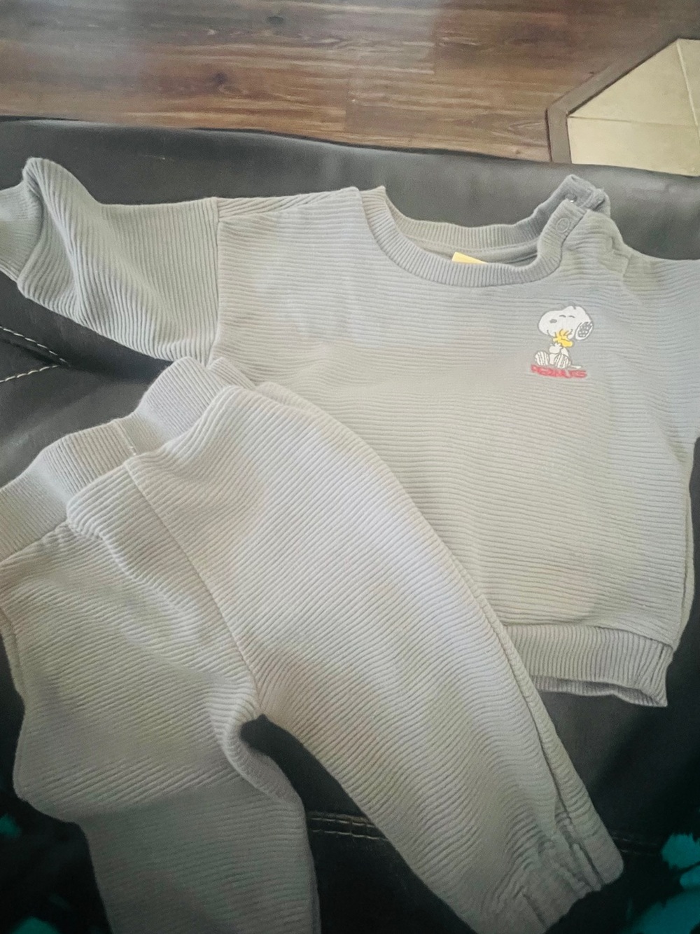 Peanuts Snoopy Gray Sweatshirt and Pants with Brand Tag 3-6 months